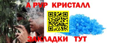 спиды Новозыбков