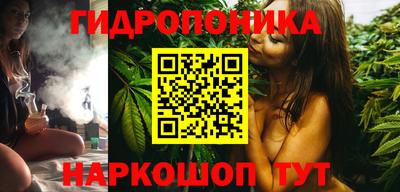 ешки Новодвинск
