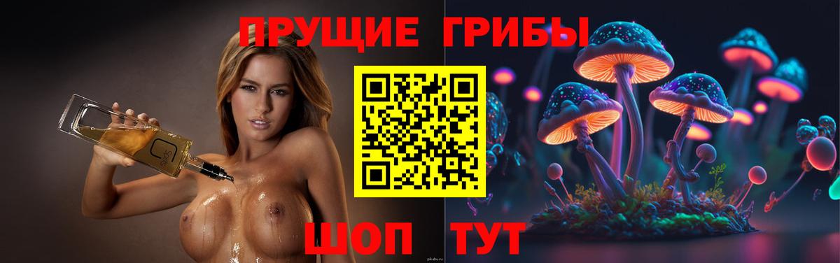 Галлюциногенные грибы Psilocybine cubensis Тобольск